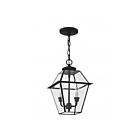 Livex Lighting 2285-04 Westover 2-Lights 120W Black Outdoor Pendant Light