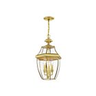 Livex Lighting 2355-02 Monterey 3-Lights 180W Polished Brass Outdoor Pendant Light