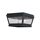 Livex Lighting Exeter 2611-04 2-Lights 120W Ceiling Mount