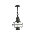 Livex Lighting 26906-61 Newburyport 1-Light 100W Charcoal Outdoor Pendant Light