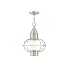 Livex Lighting 26906-91 Newburyport 1-Light 100W Brushed Nickel Outdoor Pendant Light
