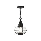Livex Lighting 26910-04 Newburyport 1-Light 100W Black Outdoor Pendant Light