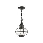 Livex Lighting 26910-61 Newburyport 1-Light 100W Charcoal Outdoor Pendant Light