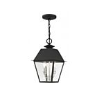 Livex Lighting 27217-04 Wentworth 2-Lights 120W Black Outdoor Pendant Light