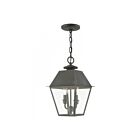 Livex Lighting 27217-61 Wentworth 2-Lights 120W Charcoal Outdoor Pendant Light