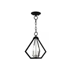 Livex Lighting 40922-04 Prism 2-Lights 120W Black with Brushed Nickel Cluster Convertible Semi-Flush Mount or Pendant