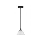 Livex Lighting 4256-04 Port 1-Light 100W Black Pendant