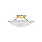 Livex Lighting Oasis 4274-02 3-Lights 225W Ceiling Mount
