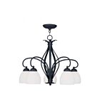 Livex Lighting 4775-04 Brookside 5-Lights 500W Black Chandelier