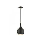 Livex Lighting 49016-04 Andes 1-Light 60W Black with Antique Brass Accents Pendant