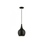 Livex Lighting 49016-68 Andes 1-Light 60W Shiny Black with Polished Brass Accents Pendant
