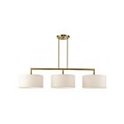 Livex Lighting 49293-01 Monroe 3-Lights 180W Antique Brass Chandelier