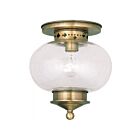 Livex Lighting Harbor 5036-01 1-Light 100W Ceiling Mount