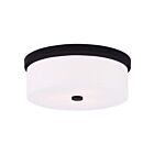 Livex Lighting Meridian 50864-07 3-Lights 120W Ceiling Mount