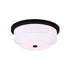 Livex Lighting Meridian 50865-07 4-Lights 160W Ceiling Mount