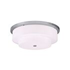 Livex Lighting Meridian 50867-91 5-Lights 200W Ceiling Mount