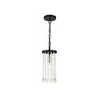 Livex Lighting 51062-04 Elizabeth 1-Light 100W Black with Brushed Nickel Accents Pendant