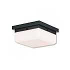 Livex Lighting Allure 65536-92 2-Lights 80W Ceiling Mount