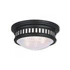 Livex Lighting Berwick 73052-07 2-Lights 80W Ceiling Mount