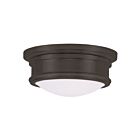 Livex Lighting Astor 7341-07 2-Lights 80W Ceiling Mount