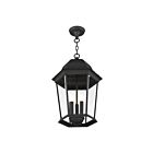Livex Lighting 7569-14 Hamilton 3-Lights 120W Textured Black Outdoor Pendant Light