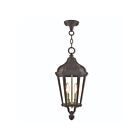 Livex Lighting 76189-07 Morgan 2-Lights 120W Bronze Outdoor Pendant Light