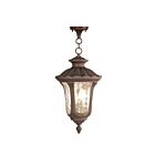 Livex Lighting 7658-58 Oxford 3-Lights 180W Imperial Bronze Outdoor Pendant Light