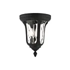 Livex Lighting Oxford 7861-14 2-Lights 120W Ceiling Mount