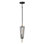 Maxim Lighting 11653BKSBR Wings 1-Light 60W Black/Satin Brass Pendant