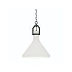 Maxim Lighting 12383WTBK Lumi 1-Light 40W Black Pendant