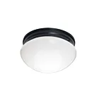 Maxim Lighting 5881WTBK Essentials 2-Lights 60W Black Flush Mount