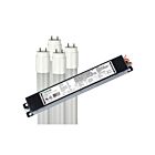 Maxlite L11.5T8EX450DR4L11.5 11.5W 4' Type-C T8 LED Tube - External Driver