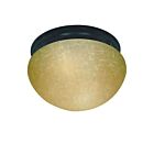Nuvo Lighting 60-2646 2-Light Mahogany Bronze Ceiling Flush Mount Light