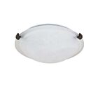 Nuvo Lighting 60-273 2-Light Old Bronze Ceiling Flush Mount Light
