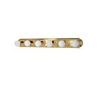 Nuvo Lighting 60-310 6-Light Polished Brass Vanity Light
