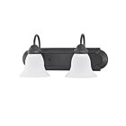Nuvo Lighting Ballerina 60-3161 2-Light Mahogany Bronze Vanity Light
