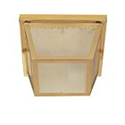 Nuvo Lighting 60-471 2-Light Polished Brass Outdoor Flush Mount Light Mount