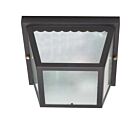 Nuvo Lighting 60-473 2-Light Black Outdoor Flush Mount Light Mount