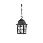 Nuvo Lighting Banyon 60-4933 1-Light Textured Black Outdoor Hanging Lantern
