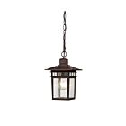 Nuvo Lighting Cove Neck 60-4954 1-Light White Outdoor Hanging Lantern