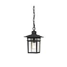 Nuvo Lighting Cove Neck 60-4956 1-Light Textured Black Outdoor Hanging Lantern