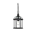 Nuvo Lighting Boxwood 60-4979 1-Light Textured Black Outdoor Hanging Lantern