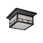 Nuvo Lighting Drexel 60-5606 2-Light Stone Black Outdoor Flush Mount Light Mount
