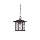 Nuvo Lighting Vega 60-5614 1-Light Classic Bronze Outdoor Hanging Lantern