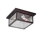Nuvo Lighting Vega 60-5616 2-Light Classic Bronze Outdoor Flush Mount Light Mount