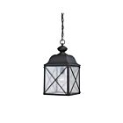Nuvo Lighting Wingate 60-5624 1-Light Textured Black Outdoor Hanging Lantern