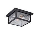 Nuvo Lighting Wingate 60-5626 2-Light Textured Black Outdoor Flush Mount Light Mount