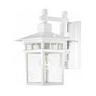 Nuvo Lighting Cove Neck 60-4957 1-Light White Outdoor Wall Light