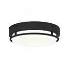 Quoizel Lighting HAL1612EK Hale 15W Earth Black Flush Mount