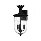Quoizel Lighting HVN8410EK 3 Lights Earth Black 180W Havana Outdoor Lantern